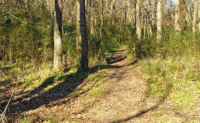 Camping at Sellers Falls on the Haw River Trail